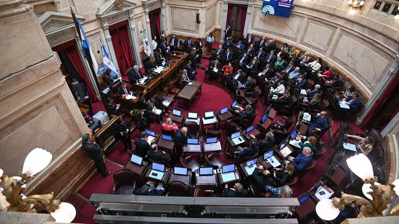 Ley Lucio: punto por punto, qué dice el proyecto que podría sancionar hoy el Senado