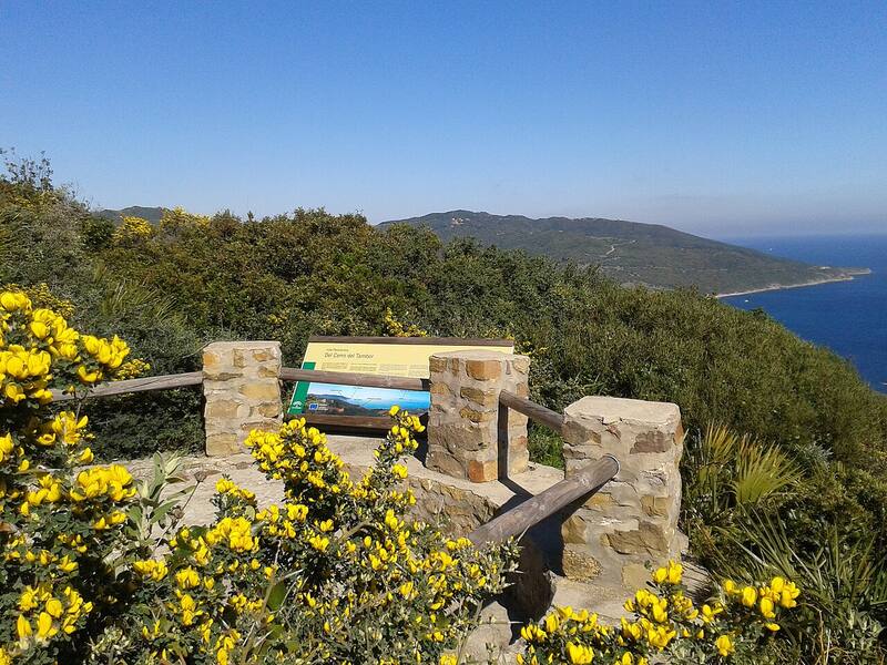 Mirador del Cerro del Tambor, una escapada única para conectarse con la naturaleza. Foto: Wikimedia Commons.