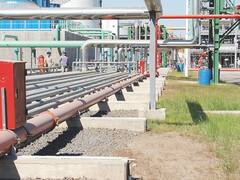 Habrá más biodiesel en el gasoil argentino por orden del Gobierno