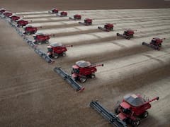 Brasil: el agro prepara el avance sobre 46 millones de hectáreas