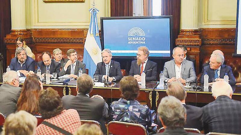 Ibarra, ayer en el Senado, presentando el proyecto de ley