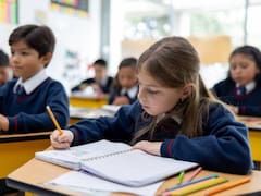 El gasto en uniformes y libros es más caro que la cuota mensual de un colegio privado