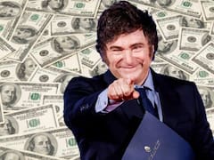 La oportunidad "de oro" que tiene la Argentina para generar dólares