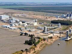 Harina de soja a China: inspectores visitarán Rosario el 18 de agosto