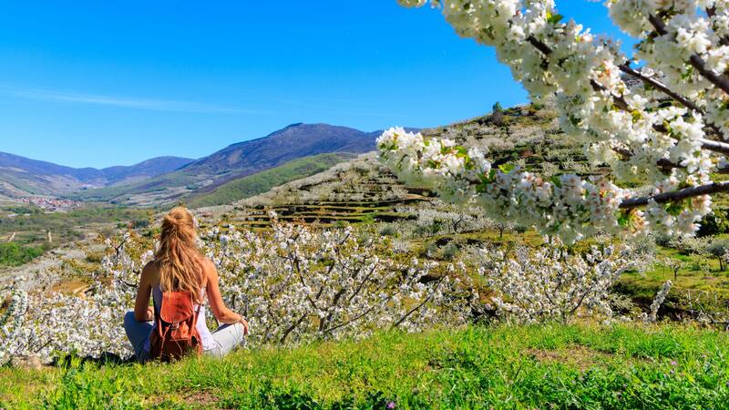 Escapadas: el precioso "valle de las cerezas" que está a 1 hora de Salamanca y tiene cascadas alucinantes.