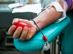 Donar sangre ya no será lo mismo: el sorprendente efecto secundario que podría cambiar las transfusiones por completo