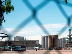 Vicentin: la mayoría cree que Cristina está tras la expropiación y que irán por otras empresas