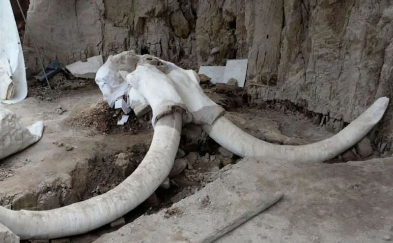 En 2012, un colmillo de mamut fue encontrado durante la construcción de una línea de metro en la ciudad, y ese mismo año se encontró otro diente de mamut en una obra en la ciudad de Gelsenkirchen, al norte.