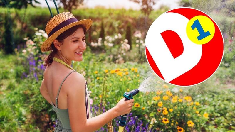 Los supermercados venden este necesario producto para mantener tus plantas sanas.