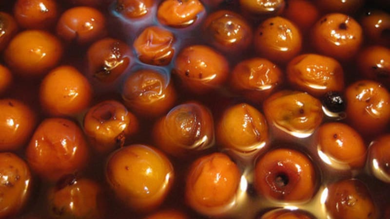 <div class="migrated-promo-image__description"><div class="migrated-promo-image__source">Fuente: captura de video</div></div>