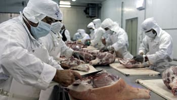 Frigorífico Tacuarembó detendrá totalmente su actividad desde el próximo martes