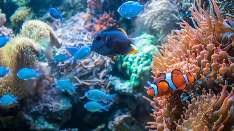 Estos sitios son perfectos para pasar el día con los más pequeños.