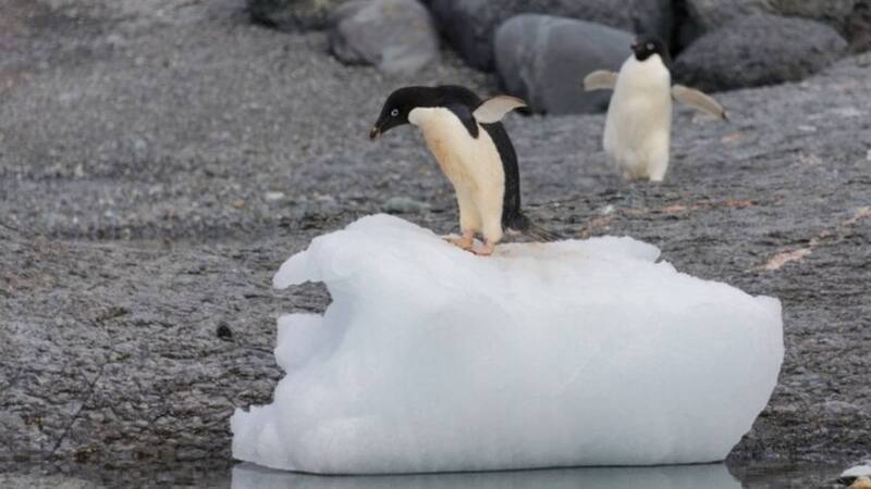 <div class="migrated-promo-image__description"><div class="migrated-promo-image__source">Fuente: Freepik</div></div>