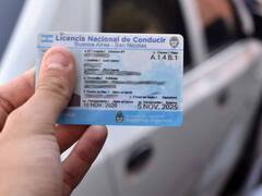 Cambia la licencia de conducir: cuál es la condición máxima que debés cumplir para sacar el registro en 2025