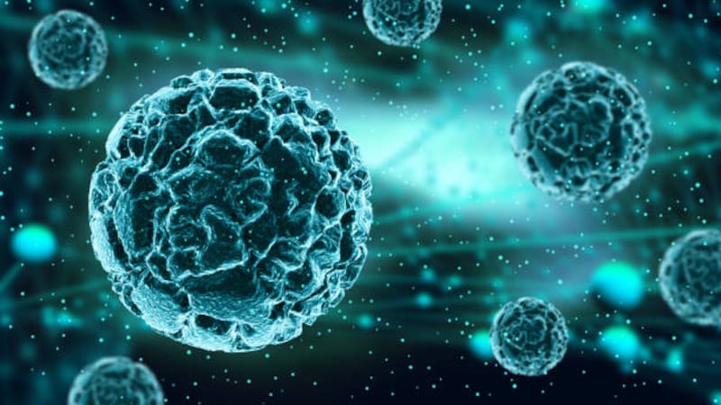 La ciencia sigue encontrando respuestas a la evolución.