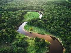 El hallazgo del siglo: la ciudad perdida que cambia la historia de la Amazonía para siempre