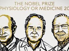 Premio Nobel de Medicina 2020 a los descubridores del virus de la hepatitis C