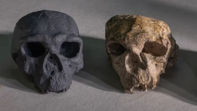 <div class="migrated-promo-image__description"><div class="migrated-promo-image__source">Fuente: Universidad de Fudan</div></div>