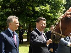Luca Kazka, la yegua que se llevó Xi, como "un regalo del polo argentino"