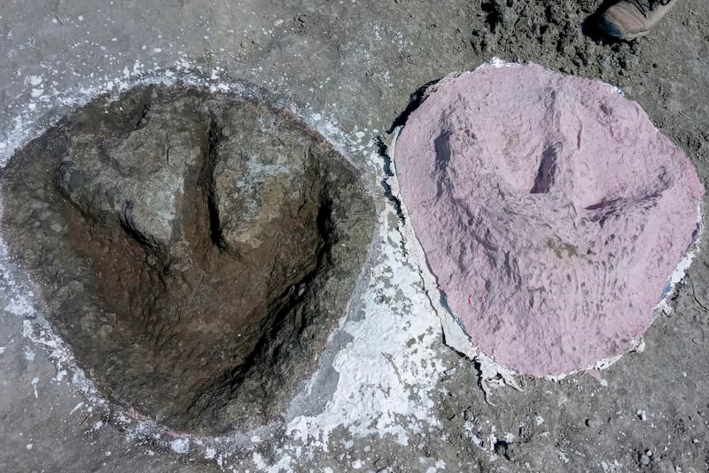 Huellas de dinosaurios. Fuente: EFE.