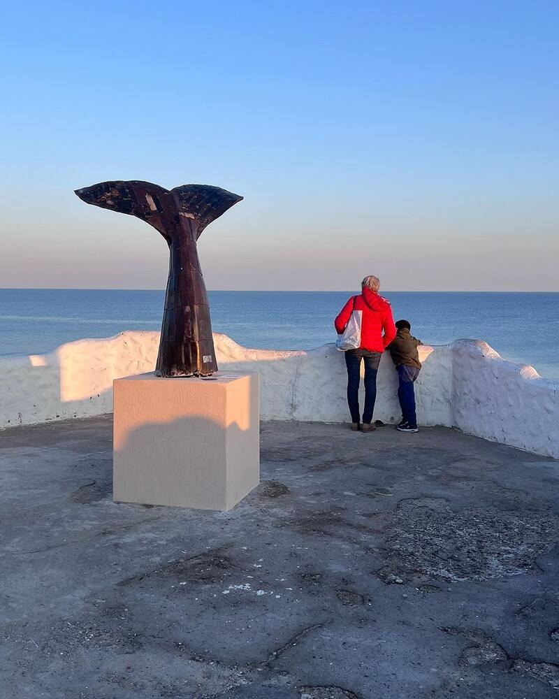 Desde las costas de Las Grutas, es posible realizar avistamientos de delfines y toninas, enriqueciendo la experiencia de los visitantes. (Foto: Instagram @lasgrutasturismooficial)