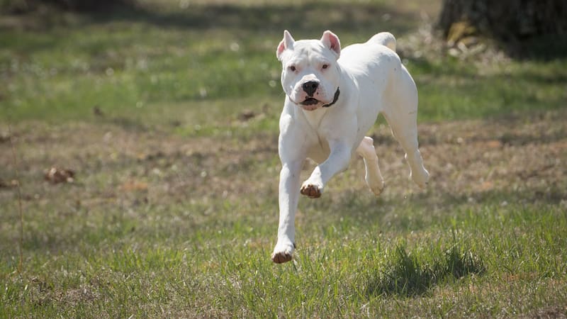 <div class="migrated-promo-image__description"><div class="migrated-promo-image__source">Fuente: Shutterstock</div></div>