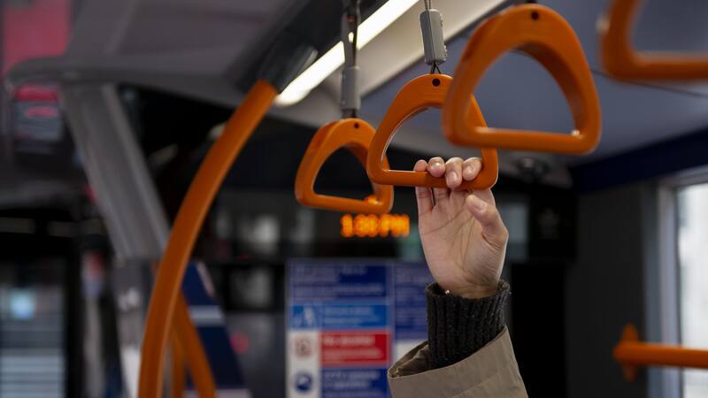 <div class="migrated-promo-image__description"><div class="migrated-promo-image__source">Fuente: Freepik</div></div>