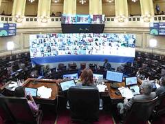 El Senado le dio media sanción al proyecto que modifica la Ley de Defensa de la Competencia