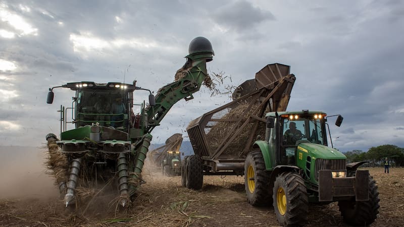 Ledesma finaliza su zafra 2024 y mejora sus números de producción tras tree años de caída