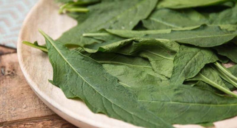 Esta planta cuenta con vitamina A y calcio.
