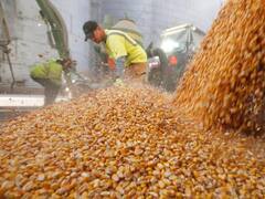 El Gobierno simplifica las exigencias a productores y operadores de granos