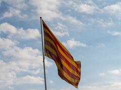 Escándalo en la Corona Española: diputada catalana rompe una foto del rey Felipe VI y provocó un griterío