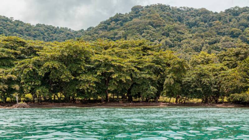 <div class="migrated-promo-image__description"><div class="migrated-promo-image__source">Fuente: iStock</div></div>