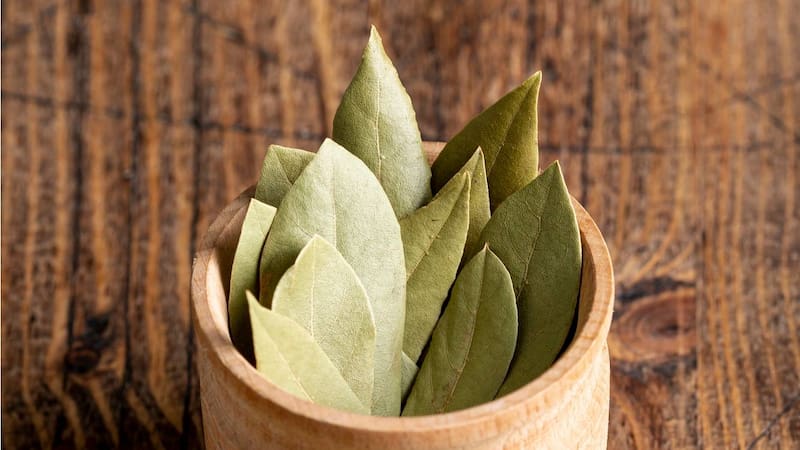 El laurel permite reducir el colesterol malo y el nivel de glucosa en sangre. Foto: Archivo.