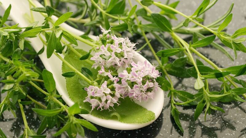 El tomillo mostró propiedades antimicrobianas que superaron la efectividad de los tratamientos químicos tradicionales para el acné (Fuente: Pixabay)