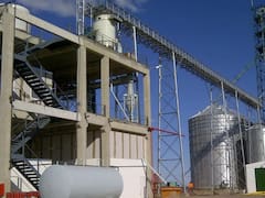 Lejos del podio: Argentina pierde participación en un producto que creció 75% en el mundo