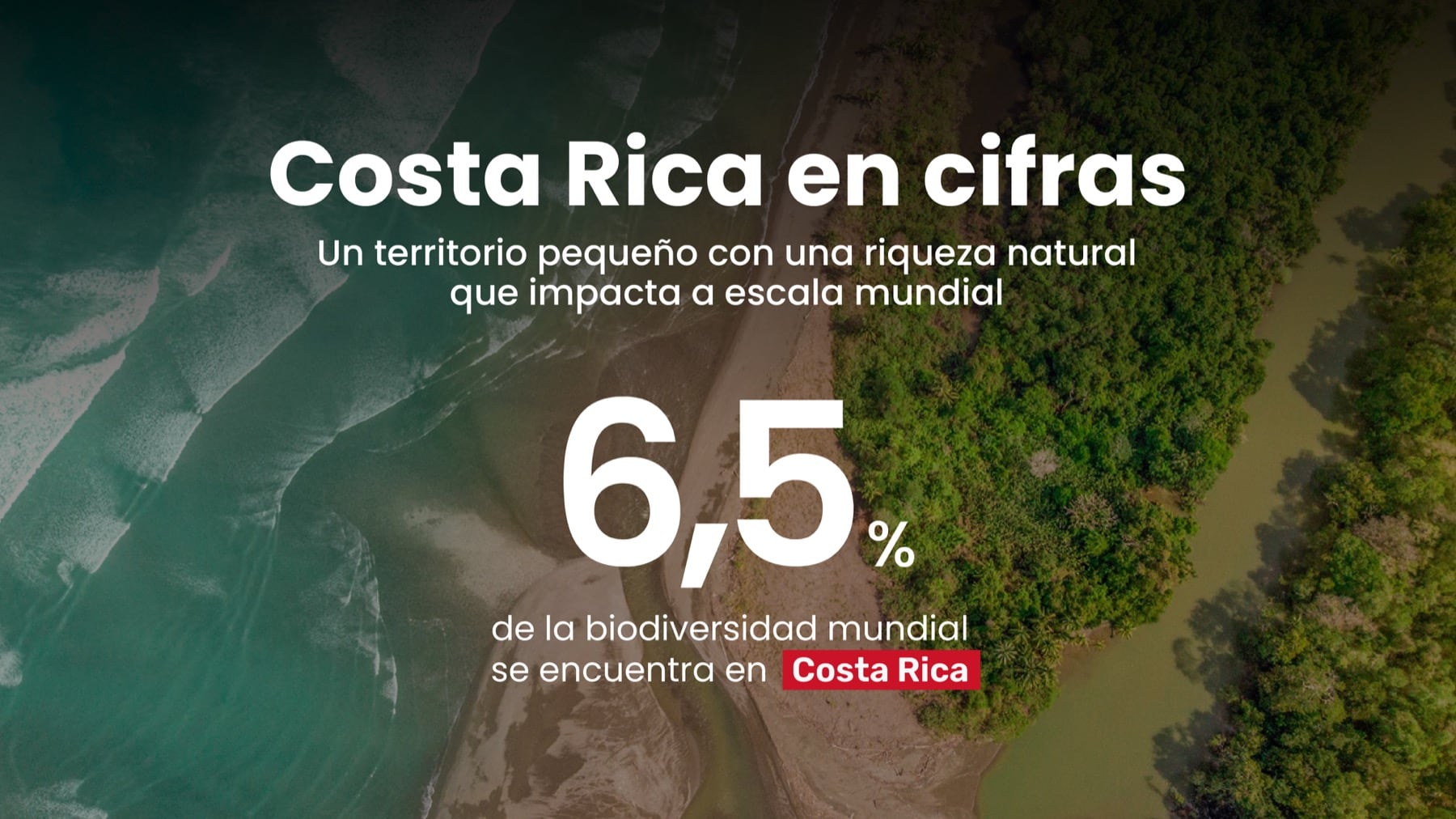 Costa Rica en cifras: el 6,5% de la biodiversidad mundial se encuentra en Costa Rica