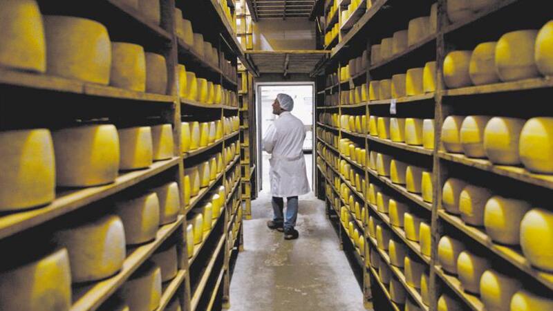 Los quesos argentinos podrían competir en mejores condiciones