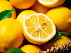 Sobraron 400.000 toneladas de limón y ahora las van a tirar: qué explicación dan los productores