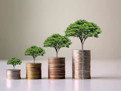 ¿Hay otra forma de producir? Una nueva ley europea plantea desafíos y oportunidades a la Argentina