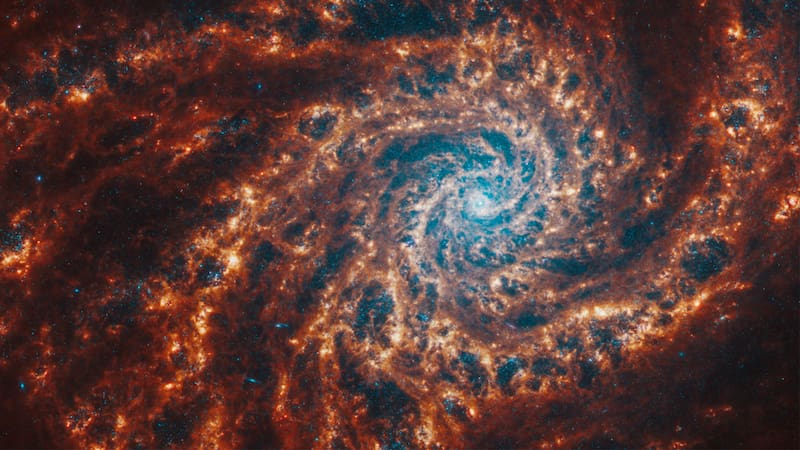 De todas las soluciones propuestas, los expertos afirman que la hipótesis del bosque oscuro es la menos probable. (Archivo)