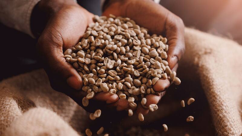 <div class="migrated-promo-image__description"><div class="migrated-promo-image__source">Fuente: Shutterstock</div></div>