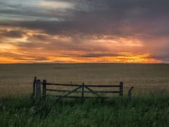 Por el blanqueo y mayor oferta, la venta de campos tuvo el mejor septiembre en 10 años