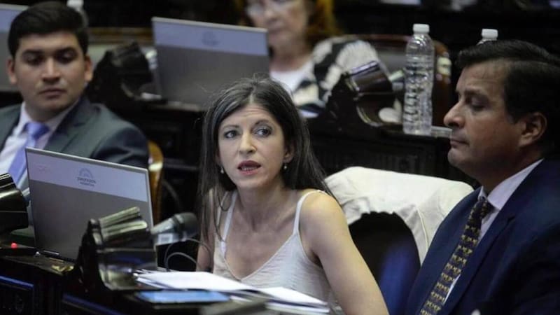 La diputada Fernanda Vallejos, en contra de las recetas del FMI