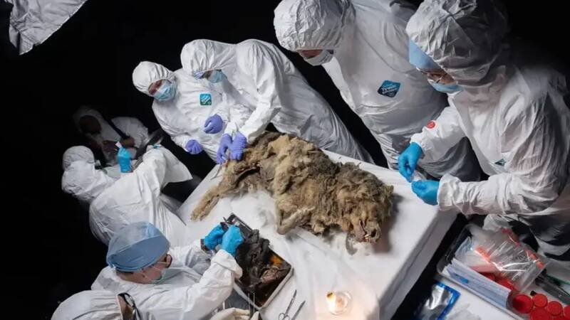 <div class="migrated-promo-image__description"><div class="migrated-promo-image__source">Fuente: Universidad Federal del Nordeste</div></div>