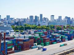 Chau al boom importador: la devaluación hizo estragos en las compras al exterior