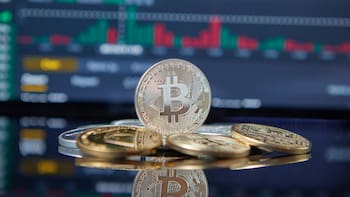 Bitcoin Cash: a cuánto cotiza este domingo 2 de noviembre