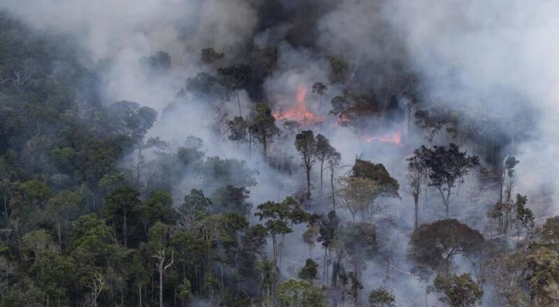 El Amazonas desempeña un papel crucial en la regulación del clima global y la conservación de la biodiversidad.