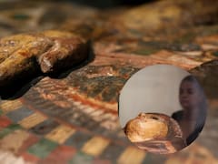 Descubrimiento y revelación tras 30 siglos: así es el lujoso sarcófago de una de las amadas del rey de los dioses en el antiguo Egipto