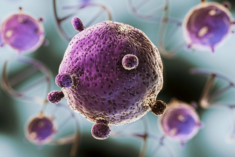 Bacterias. Fuente: Archivo.